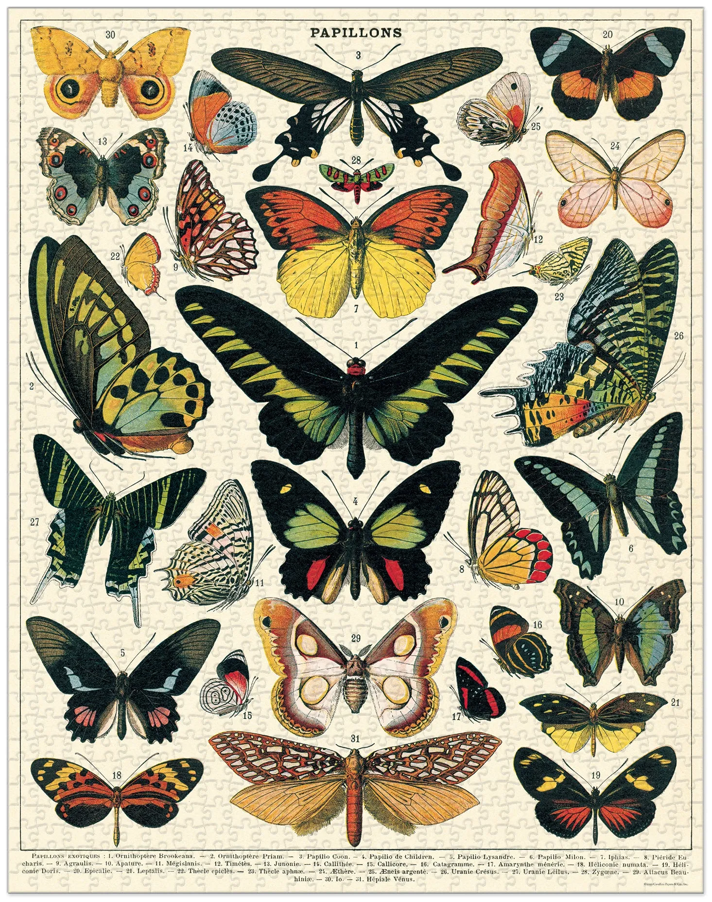 Butterflies 1000pc Puzzle