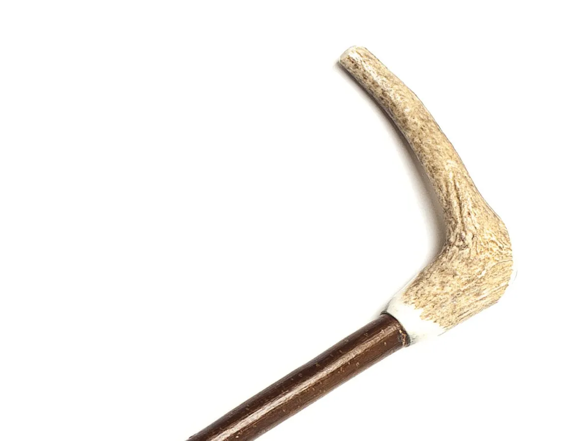 Hazel Stick with Rounded Stag Handle