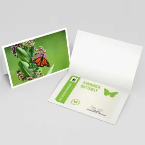 Monarch butterfly adoption card