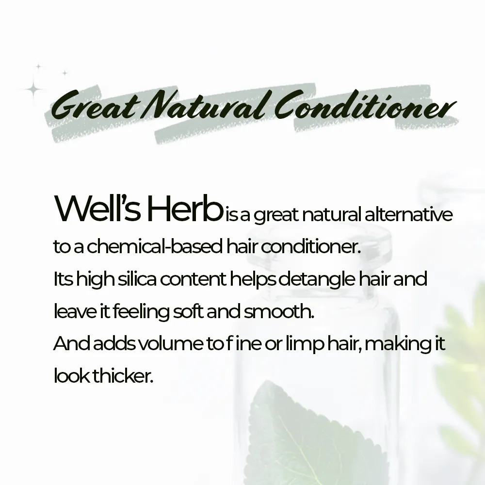 Well's Herb Dried Ginkgo | 0.9 oz.