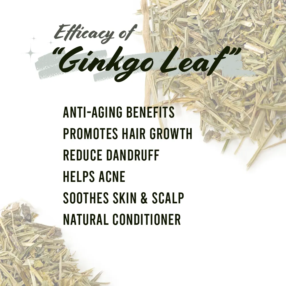 Well's Herb Dried Ginkgo | 0.9 oz.