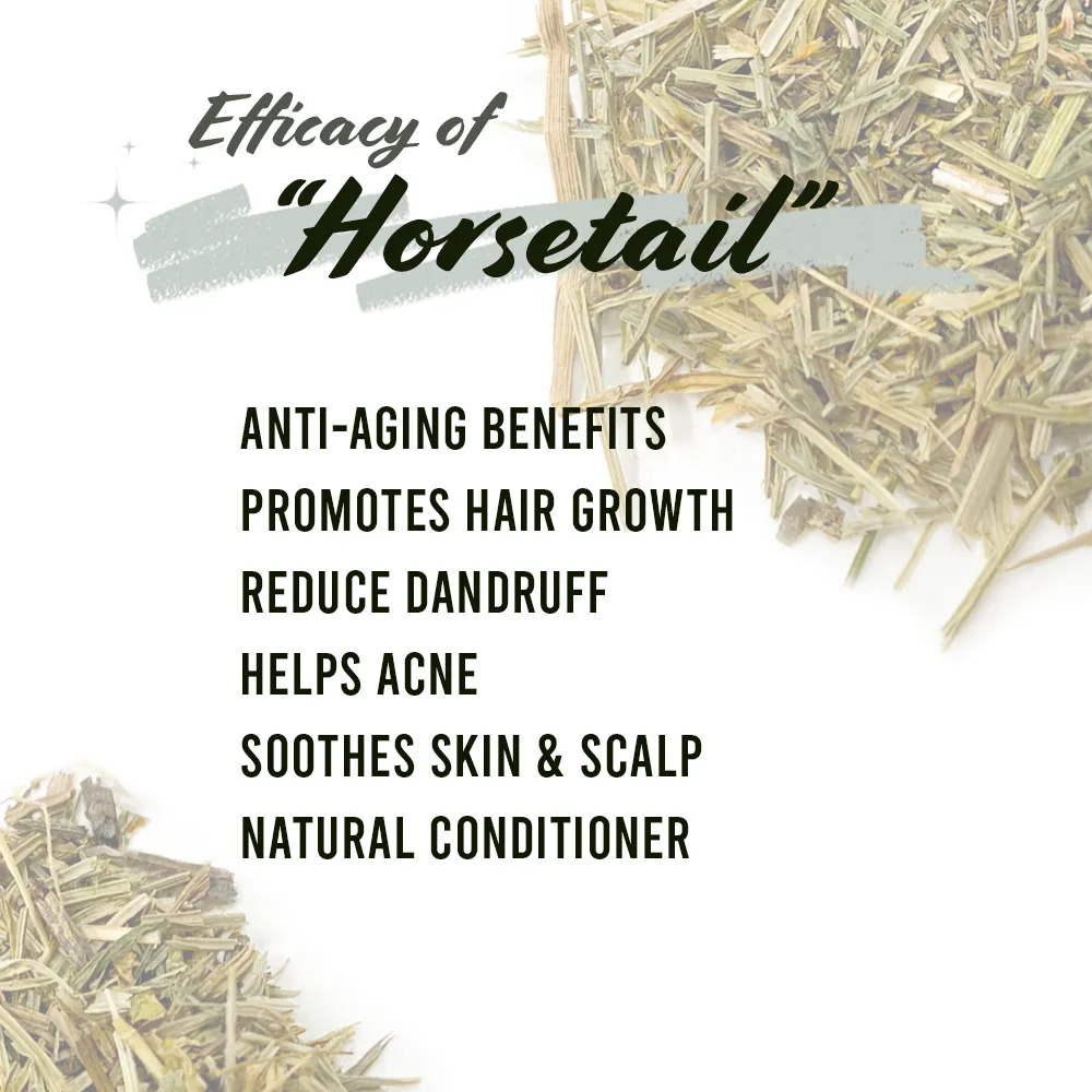 Well's Herb Dried Horsetail | 0.5 oz.